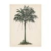 Trademark Fine Art Melissa Wang 'Palm Tree Study II' Canvas Art, 14x19 WAG14726-C1419GG